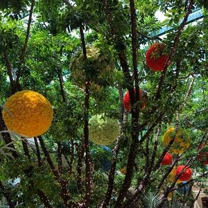 Meet your Posher, Priya